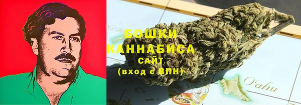 индика Нея