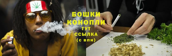 индика Нея
