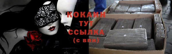 индика Нея