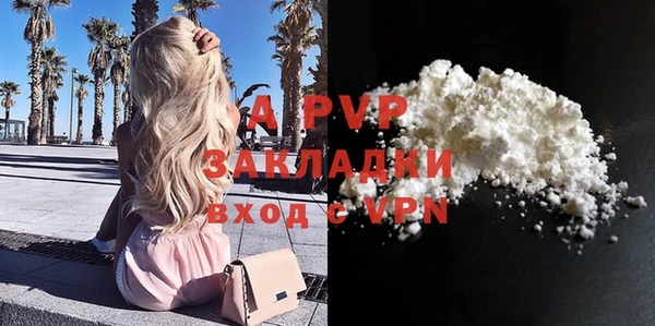 индика Нея