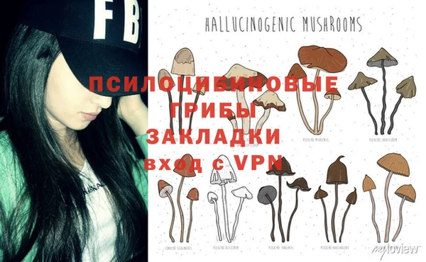индика Нея