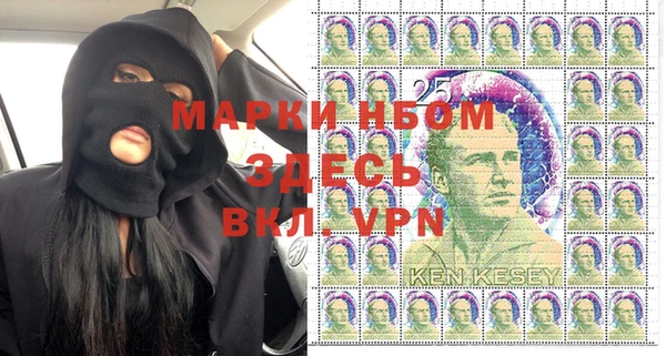 индика Нея