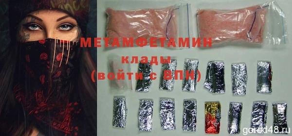 индика Нея