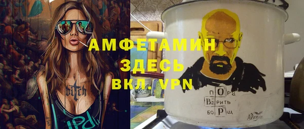 индика Нея
