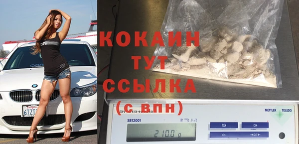 индика Нея