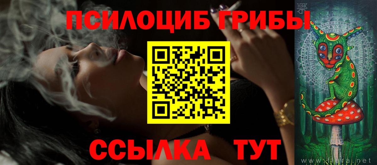 Энгельс  Псилоцибиновые грибы мицелий  Вход с VPN 