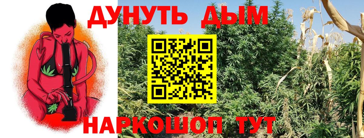 Бошки марихуана планчик  Бошки Шишки VHQ  Энгельс  Вход с VPN  Конопля гибрид 